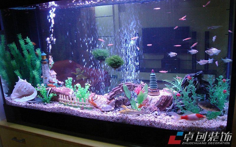 合肥裝飾公司 風(fēng)水小道具